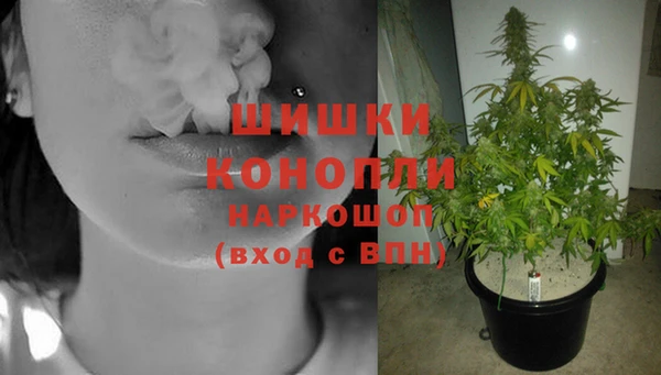 трава Алзамай