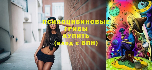 индика Переславль-Залесский
