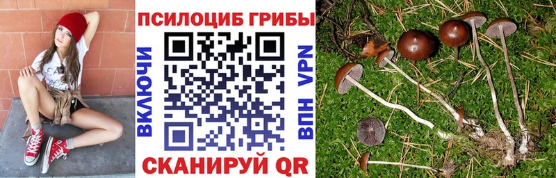 ссылка на мегу зеркало  Бирюч  Галлюциногенные грибы мицелий 